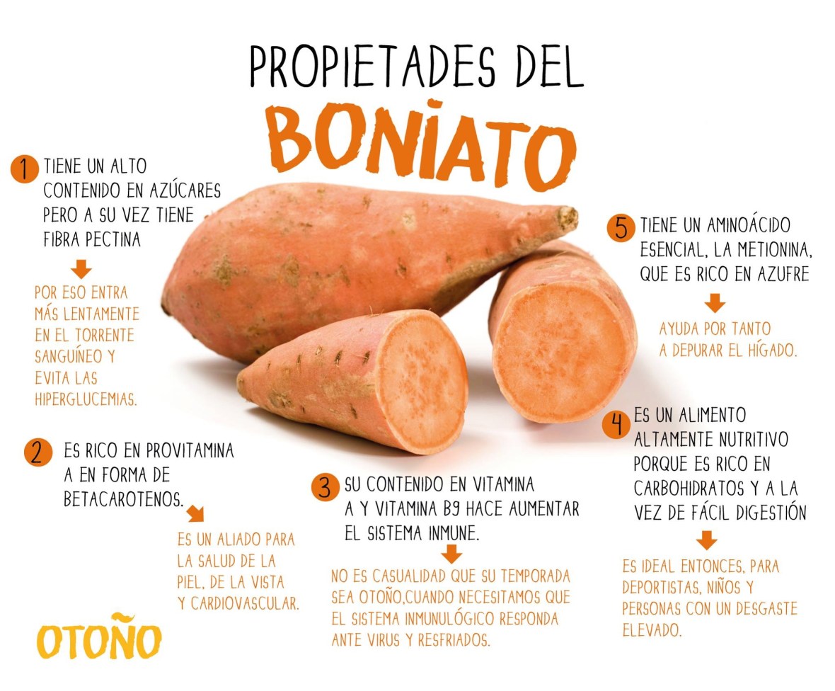 boniato : descrizione